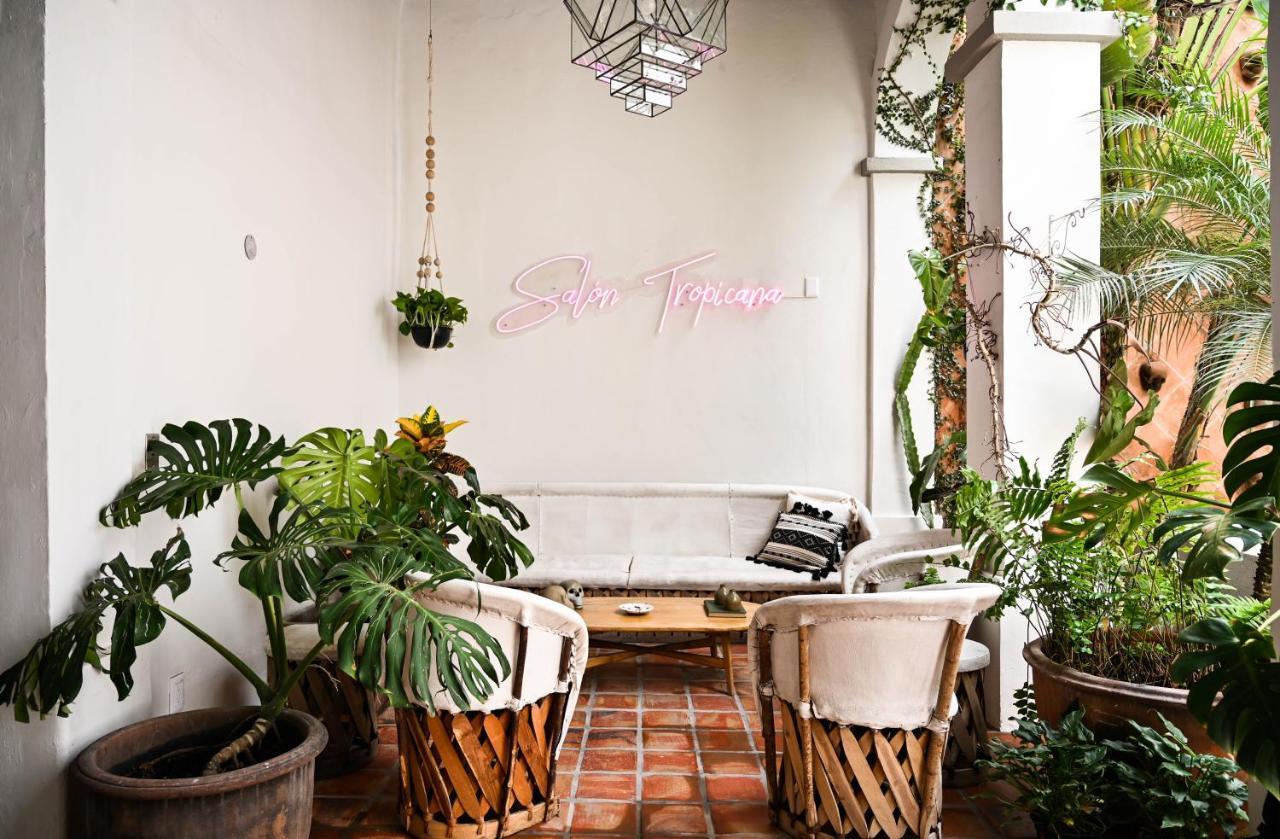 Hotel Casa Blanco By Barrio Mexico à Guadalajara Extérieur photo
